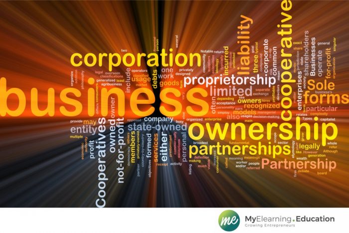 types of business ownership